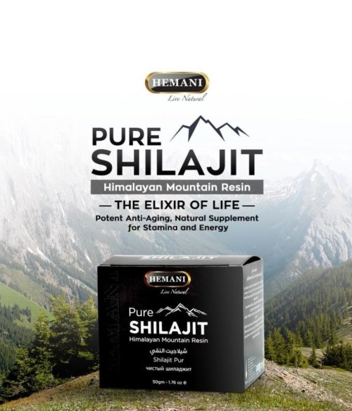 Pure Shilajit Himalayan Resin - 50g [HH105]